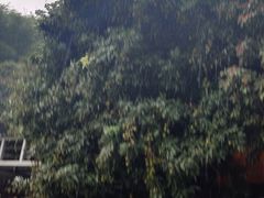 -鲤鱼塘农家山庄