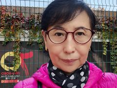 -三里屯东五街银杏大道