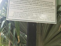-东芭乐园