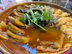 -老表记广西宵夜螺蛳鸭脚煲(西大店)
