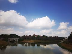 -上海海湾国家森林公园