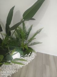 -HEYAN荷妍专业脱毛连锁机构