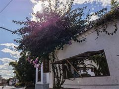 -喜洲翰林餐厅(董家百年老宅店)