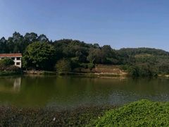 -南国桃园旅游度假区