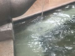 -碧水湾温泉