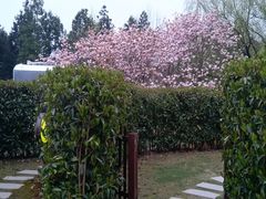 -崇明东平国家森林公园烧烤房车露营地