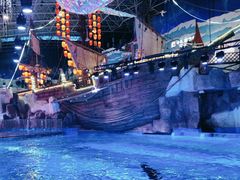 -海合安青岛极地海洋公园
