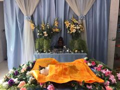 -彩虹桥宠物火化殡葬善终服务(金乐大厦店)