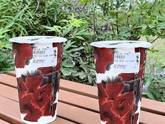 黄金荞麦奶茶-注春·荞麦奶茶(新天地旗舰店)