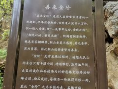 -阳台山自然风景区