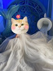 -华东饭店·园林式婚礼宴会厅酒店