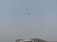 -君乐宝优致牧场