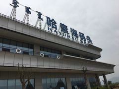 -哈素海