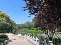 -大望京公园