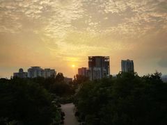 -狐尾山公园