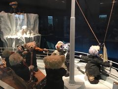 -济州岛泰迪熊博物馆