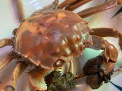 -小竹签烤肉纸包鱼小龙虾(唐韵路店)