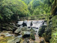 -鼎湖山风景区