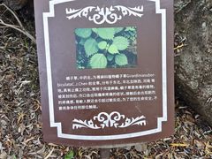-灵溪风景区