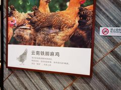 -云海肴·汽锅鸡·云南代表菜(东坝金隅店)