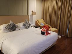 -四川江油戴斯大酒店