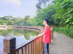 -大屏嶂森林公园