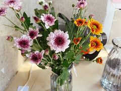 -美豪怡致酒店(上海长寿路店)