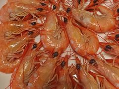 -欢乐海岸美食联盟