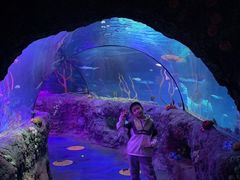 -沈阳海洋探索中心