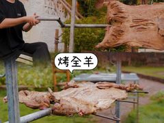 -广州市流溪河国家森林公园