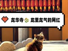 -龙华寺