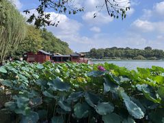 -楼外楼(西湖景区孤山路店)