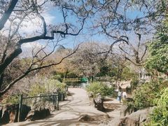 -昆明动物园