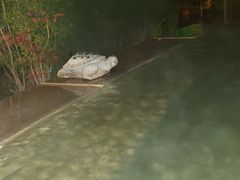 -星河温泉小镇