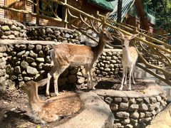 -本溪关山湖风景区