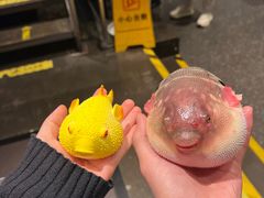 -永安鱼庄·镇江菜(东吴路店)