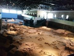 -自贡恐龙博物馆