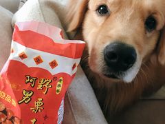 -阿男野栗王(金门路店)