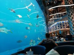 -瑞德姆美人鱼海底演艺主题餐厅(亚龙湾店)