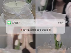-山与蓝·轻糖鲜果蛋糕(勒泰店)