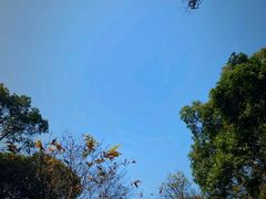 -广州市白云山风景名胜区
