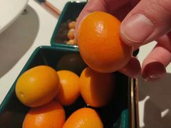 -大鸭梨烤鸭(顺义石园店)