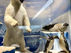 -国家自然博物馆