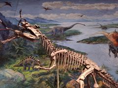 -自贡恐龙博物馆