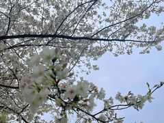 -堤角公园