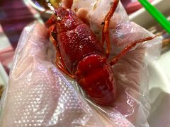 -龙巢盱眙龙虾·牛蛙·烧烤宵夜(八卦岭店)
