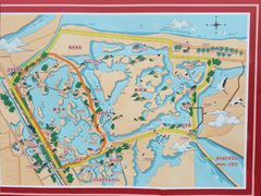 -盐城丹顶鹤湿地生态旅游区