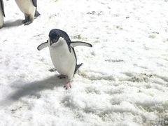 -珠海长隆海洋王国
