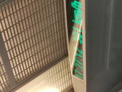 -龙阳路磁悬浮列车总站-停车场