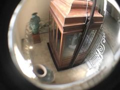 -胡志明市美术馆
